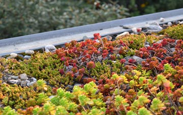 the cost of Wyverstone Street green roof installation