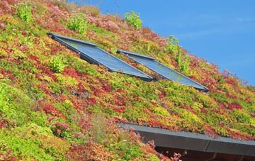 Wyverstone Street living roof systems