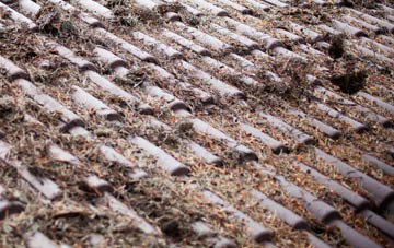 Wyverstone Street roof cleaning companies